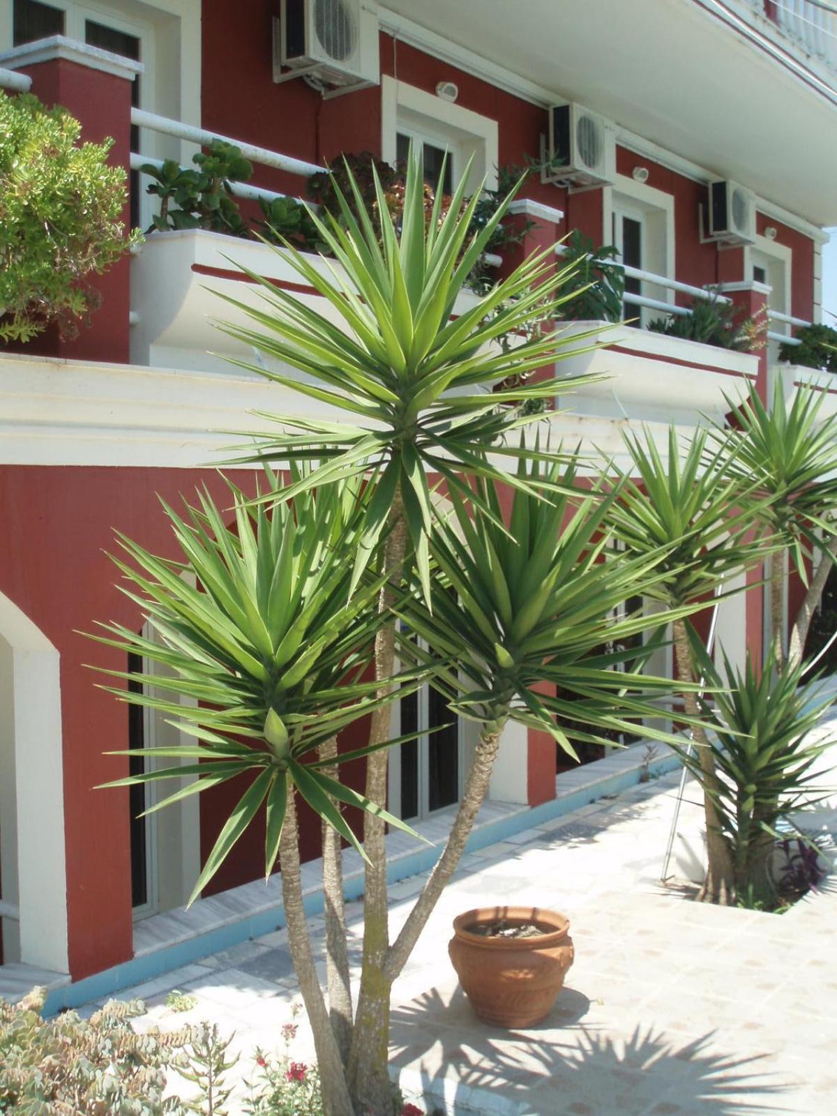 Appartement Crystal Kávos